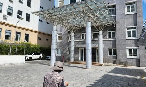 Điểm mặt 10 doanh nghiệp Đà Nẵng chậm đóng bảo hiểm nhiều nhất