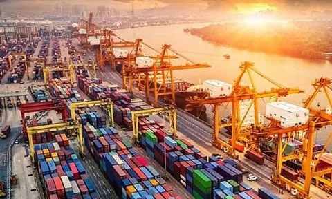 Ứng phó thuế quan Mỹ: Tiếp cận thị trường mới, làm mới thị trường cũ