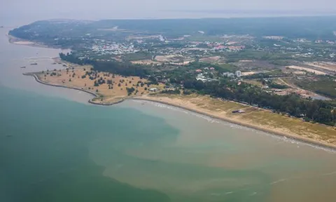TP HCM: Hình thành 4 khu thương mại tự do