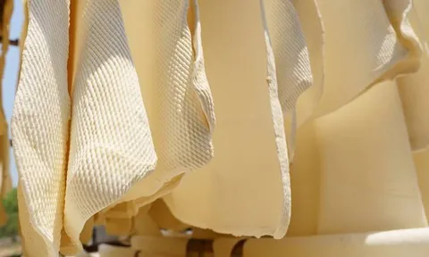 Hàng chục nghìn tấn 'vàng trắng' của Việt Nam được Malaysia chốt đơn: 1/3 thế giới ưa chuộng, nước ta có diện tích trồng hơn 900.000 ha