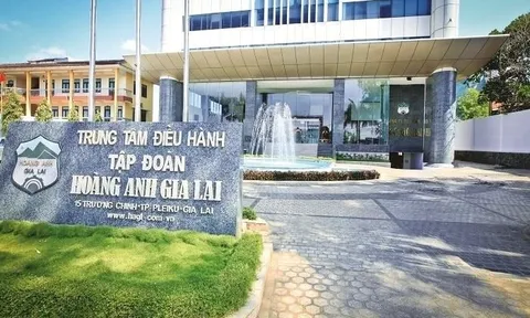 Kiểm toán nghi ngờ khả năng hoạt động liên tục, Hoàng Anh Gia Lai (HAG) lên tiếng về kế hoạch bán tài sản và hoán đổi nợ