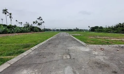 Từng đầu tư đâu thắng đó, người đàn ông tất tay mua lô đất 7 tỷ, 4 năm sau rao bán 6 tỷ không ai mua, thừa nhận: “Tham thì thâm”