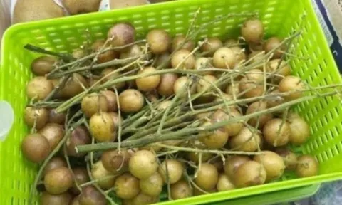 Quả có hạt ở Việt Nam, ở nước ngoài bán loại không hạt đắt gấp 14 lần