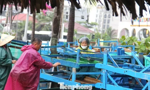 Hàng quán ven biển Đà Nẵng hối hả 'chạy bão'