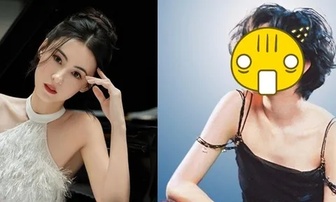 Oan cho Trương Bá Chi