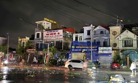 Chủ tịch Ninh Bình yêu cầu khám chữa miễn phí người dân bị thương do bão số 5