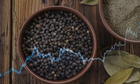 Giá hồ tiêu hôm nay tăng vọt, đạt mức cao sau nhiều tháng