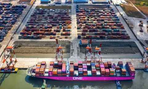 Mỹ vừa chi hơn 5 tỷ USD ‘chốt đơn’ một mặt hàng chiến lược của Việt Nam: Nước ta đứng thứ 2 thế giới về xuất khẩu, đang là bạn hàng của hơn 150 quốc gia