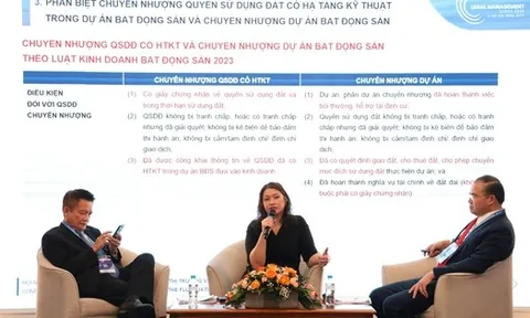 Tranh chấp bất động sản ngày càng phức tạp