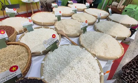 Lại lo đầu ra cho gạo