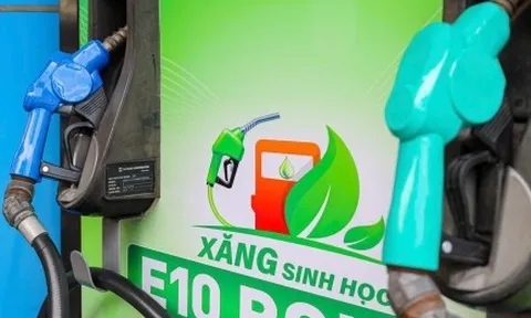 Sau 1 tháng mở bán, lượng xăng E10 tiêu thụ thế nào?