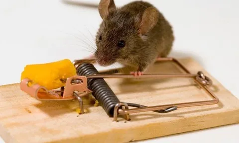 Mặt trái phía sau các ứng dụng miễn phí: Người dùng không hề biết mình trả giá đắt thế nào!