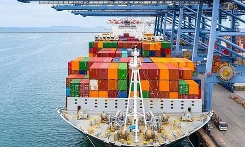 Mỹ chi hơn 6 tỷ USD mua một 'mỏ vàng' của Việt Nam từ đầu năm: Miễn thuế nhập khẩu, nước ta là ông trùm lớn thứ 2 thế giới