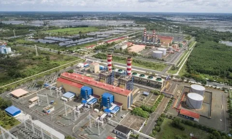 Doanh thu tăng mạnh, lợi nhuận bứt phá ngoạn mục, "ông lớn" ngành điện mở ra chu kỳ tăng trưởng tỷ đô
