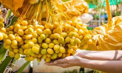 Loại quả từng là đặc sản cao cấp giờ có giá rẻ nhất từ trước tới nay: Khi ăn cần lưu ý điều quan trọng này