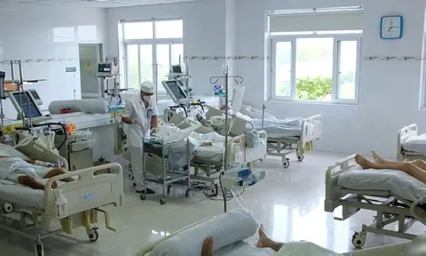 Rắn độc liên tiếp tấn công người, bác sĩ cảnh báo hiểm họa rình rập mùa mưa