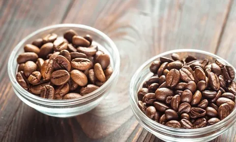 Giống cà phê lâu đời nhất Việt Nam chứa 3 “thần dược” chống tiểu đường