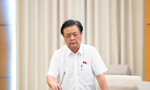 Không nơi nào trên thế giới có 'việc nhẹ lương cao', tại sao nhiều người vẫn bị lừa?