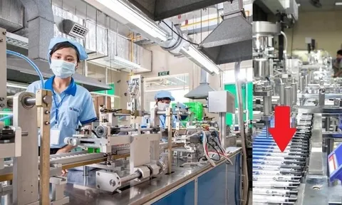 Bán sản phẩm chỉ bằng cốc trà đá khiến 74 quốc gia đặt mua, DN Việt lại “chơi lớn” ở “xứ sở nghìn đảo”
