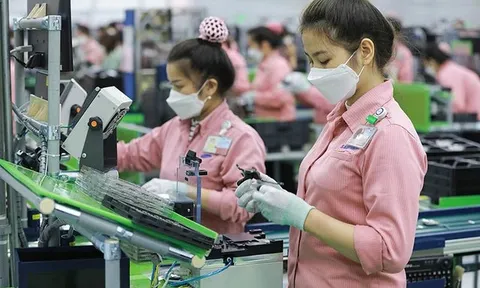 Thu ngân sách gần 300.000 tỷ đồng từ xuất nhập khẩu 8 tháng