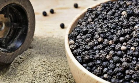 Giá tiêu ngày 7/9: Giá tiêu ổn định, thấp nhất 151.000 đồng/kg