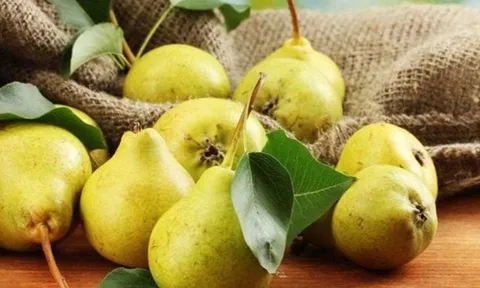 Gan nhiễm mỡ ăn ngay 4 thực phẩm này kẻo quá muộn: Độc tố tích lâu ngày có thể bốc hơi chỉ sau vài bữa!