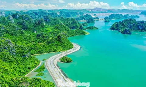 Ngắm vịnh Bái Tử Long từ tuyến đường bao biển đẹp nhất Việt Nam