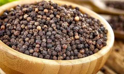 Giá tiêu hôm nay 9/9: Giữ ổn định, cao nhất 152.000 đồng/kg