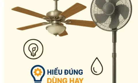 Quạt trần và quạt cây: Loại nào hiệu quả và tiết kiệm điện hơn trong phòng rộng?