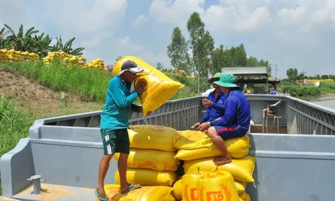 Thương nhân xuất khẩu gạo 'khát' vốn