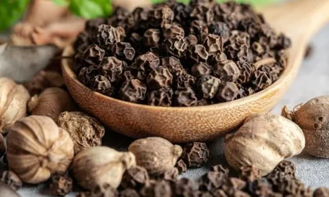 Giá hồ tiêu đi ngang, ổn định trên mức 150.000 đồng/kg