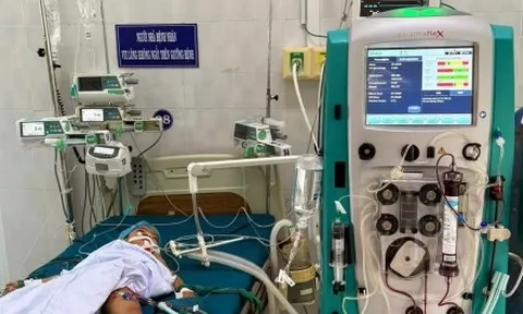 Bị 23 vết ong vò vẽ đốt, bé 5 tuổi ở Gia Lai tử vong