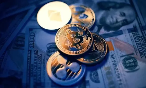 Giải mã sự khác nhau giữa tài sản số và tài sản mã hóa