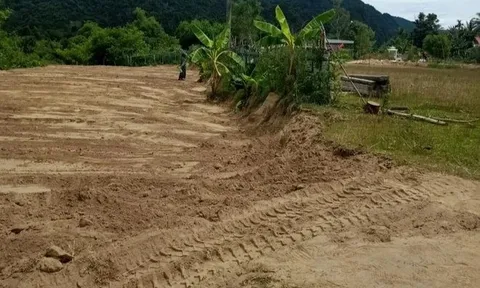 San đất để làm vườn, người dân Việt Nam phát hiện vật hình hộp màu xanh lạ, chuyên gia xác nhận báu vật hiếm có 600 năm tuổi