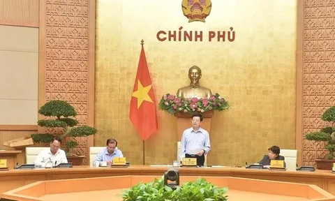 Vingroup nhận nhiệm vụ từ Phó Thủ tướng