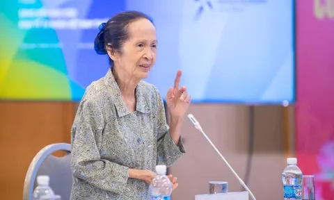 Chuyên gia Phạm Chi Lan: Không thể tính bà Phương Thảo Vietjet chung với hàng loạt doanh nghiệp nhỏ và vừa khác cộng lại chia ra, rồi đánh giá là khu vực kinh tế tư nhân kém hiệu quả!