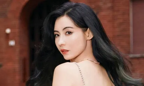 Trương Bá Chi còng lưng chạy show vì hết tiền?