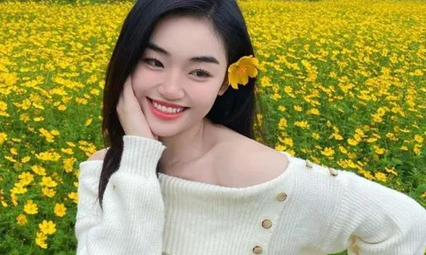 Đọc profile tân hoa hậu Hòa bình Việt Nam 2025, cư dân mạng đặt dấu chấm hỏi