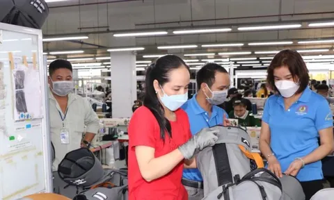 Sắp tổng điều tra kinh tế toàn quốc