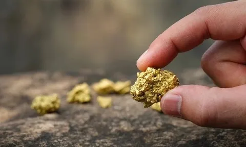 Phát hiện 2.500 kg vàng trị giá 7 tỷ đồng bị bỏ