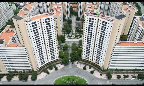 Nguyên giảng viên Đại học Bách Khoa bước vào cuộc đua đấu giá 3.790 căn tái định cư Thủ Thiêm, cạnh tranh trực tiếp Sơn Kim Land, Sunshine Group