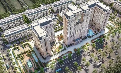 DIC Corp dự kiến báo lãi đột biến quý III/2025 nhờ thương vụ bán dự án nghìn tỷ ở Ninh Bình
