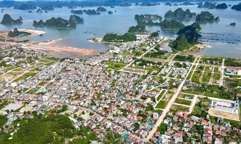 Quảng Ninh “tăng tốc” giải phóng mặt bằng, mở đường triển khai siêu dự án 1 tỷ USD của HDMon tại đặc khu Vân Đồn