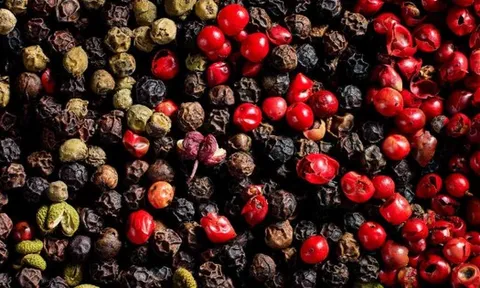 Giá tiêu ngày 19/9: Giảm chung theo xu hướng thế giới, nội địa cao nhất 151.000 đồng/kg