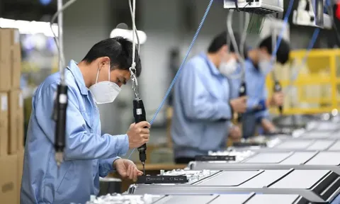 Người lao động làm không quá 8 giờ/ngày, hưởng 300% lương dịp lễ Tết