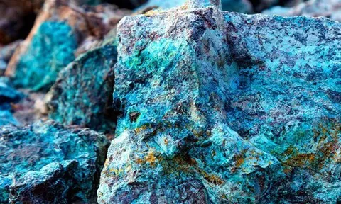 Cuba ngồi trên "kho báu" nhiều top 4 thế giới: Gấp 7 lần Mỹ, chỉ xuất khẩu loại chất lượng cao sang Á, Âu