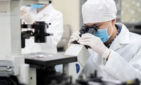 9 nhà khoa học Việt Nam lọt nhóm 10.000 nhà khoa học hàng đầu thế giới 2025