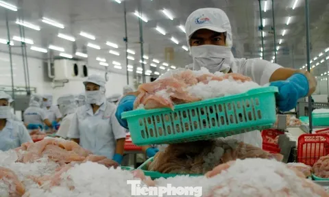 Thách thức thuế Mỹ là ‘phép thử’ quan trọng với doanh nghiệp