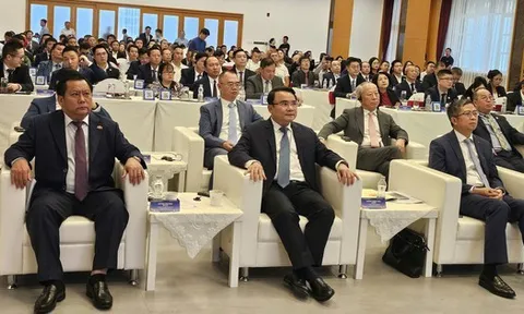 Trung Quốc dẫn đầu vốn FDI tại Tây Ninh, với gần 10 tỉ USD vốn đăng ký