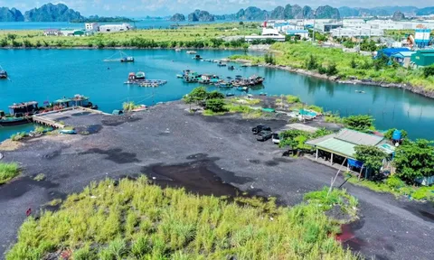 Thông tin về bàn giao đất cho dự án điện khí hơn 2,2 tỷ USD ở Quảng Ninh